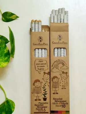 Combo Recycled News Paper Colour Pencils Pack Of 10 And Plantable Seed Pencils Pack Of 5